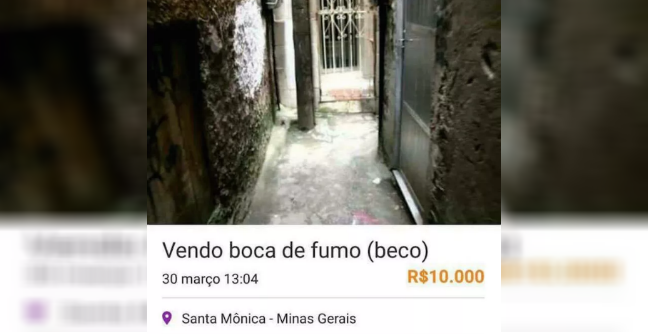 Mil Anúncio Ana Manaus-12007